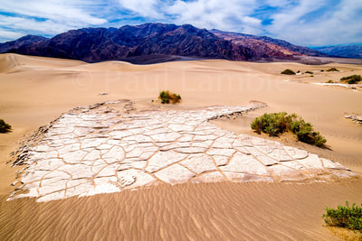 Death Valley Arrowhead