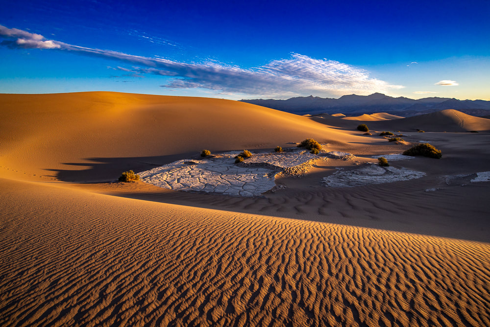 Mesquite Dunes Sunrise