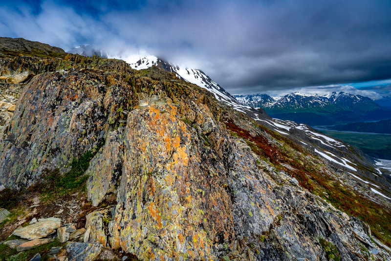 Alaska Lichen
