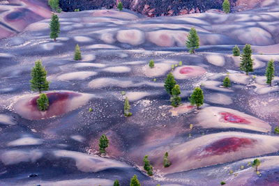 Painted Dunes